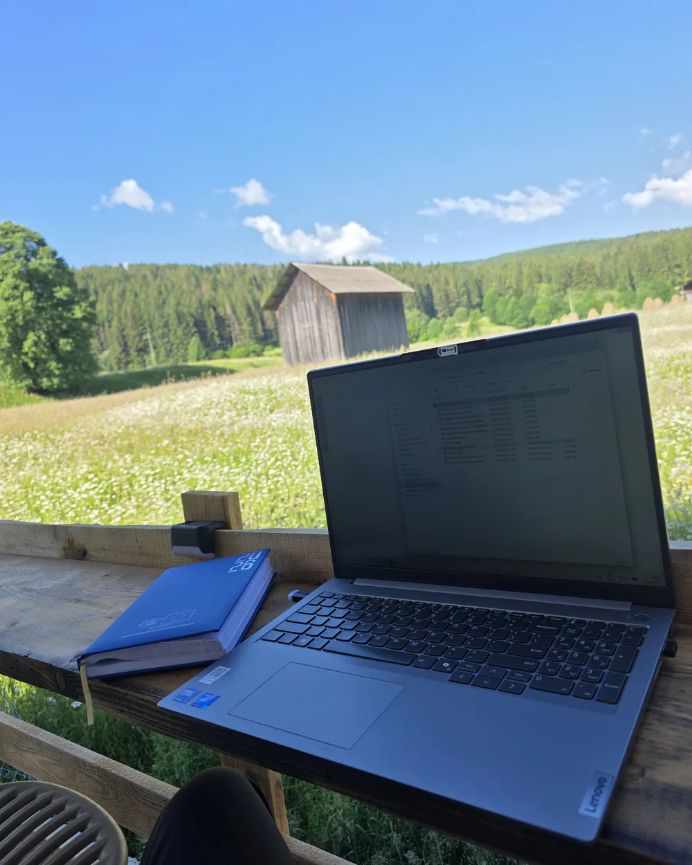 Laptop deschis pe masa de pe terasă, cu pajiștea înflorită și pădurea în fața lui