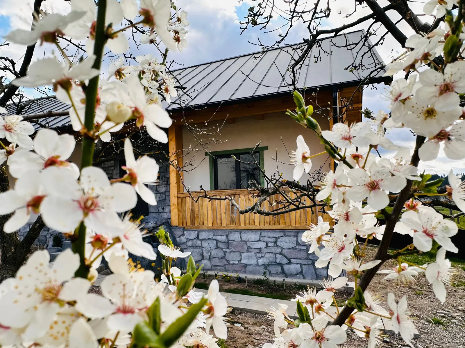 Primăvara în Bucovina: o casă cu prispă de lemn, văzută printre florile unui pom